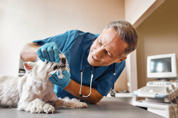 Best Emergency Dental Care for Trauma or Injury in Bacliff, TX